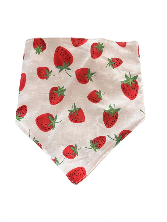 Tied Together Strawberries Bandanchie