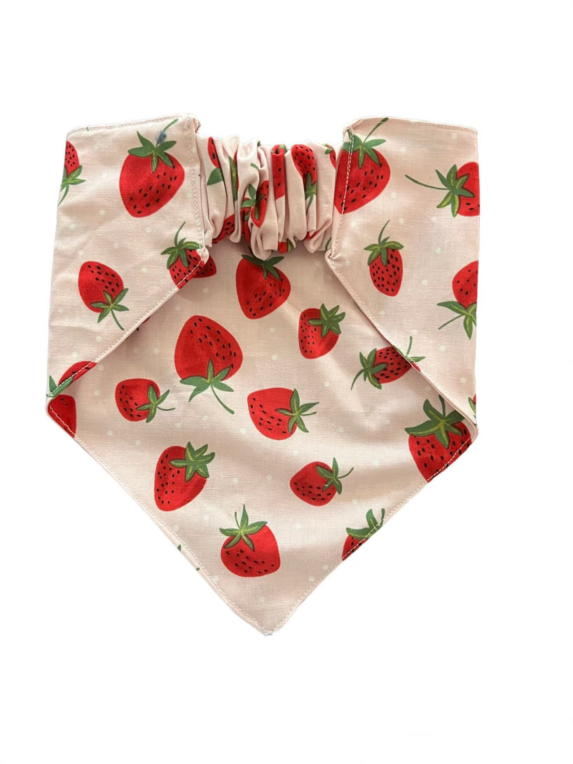 Tied Together Strawberries Bandanchie Bandana