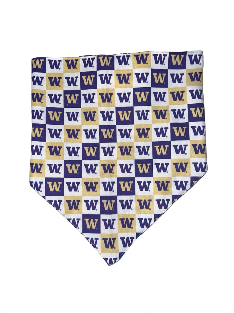 Tied Together UW Checker Bandanchie